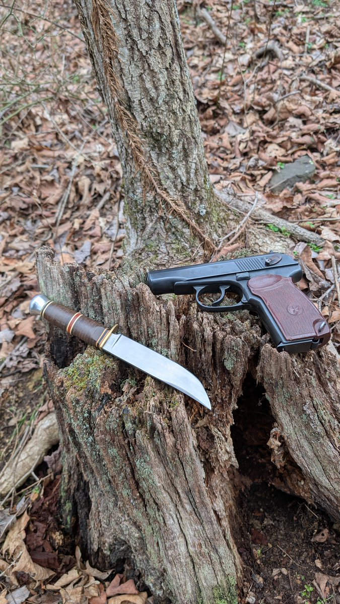 чики 🏕️ tweet media