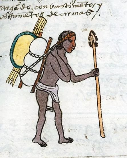 Lycaon ࿓ tweet media