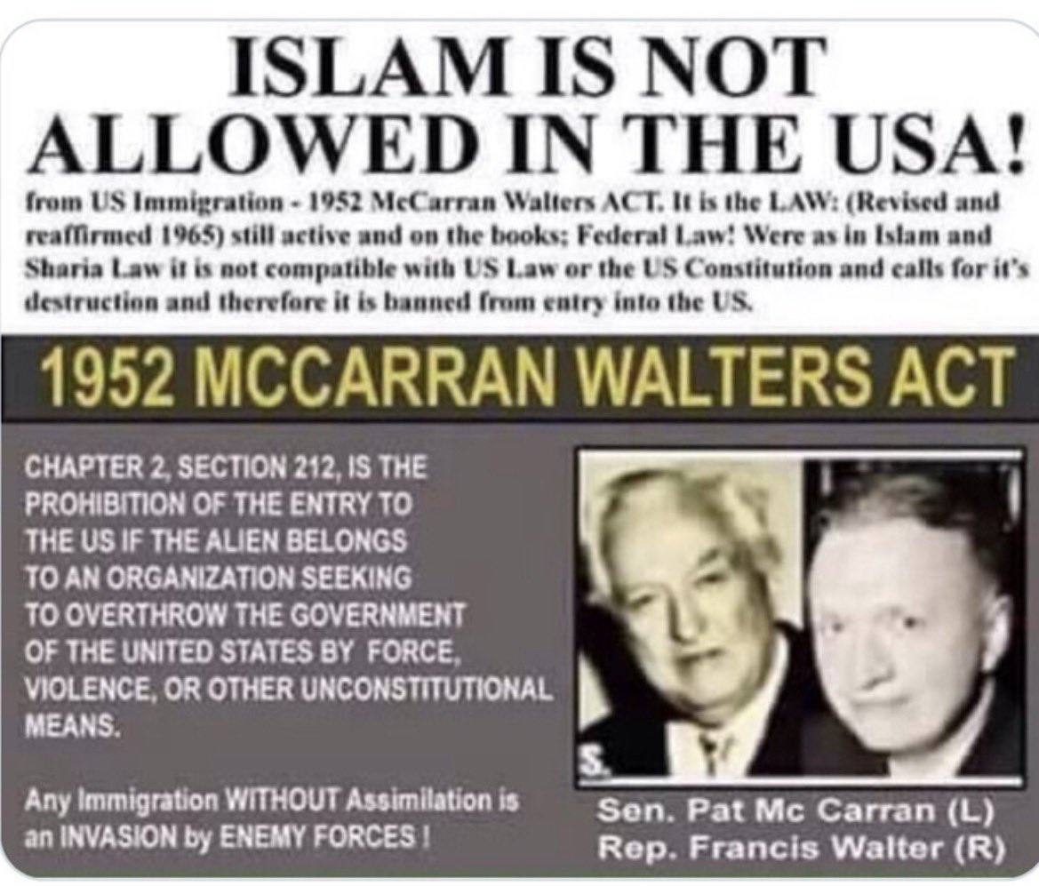 MaggieWise ⭐️⭐️⭐️ tweet media