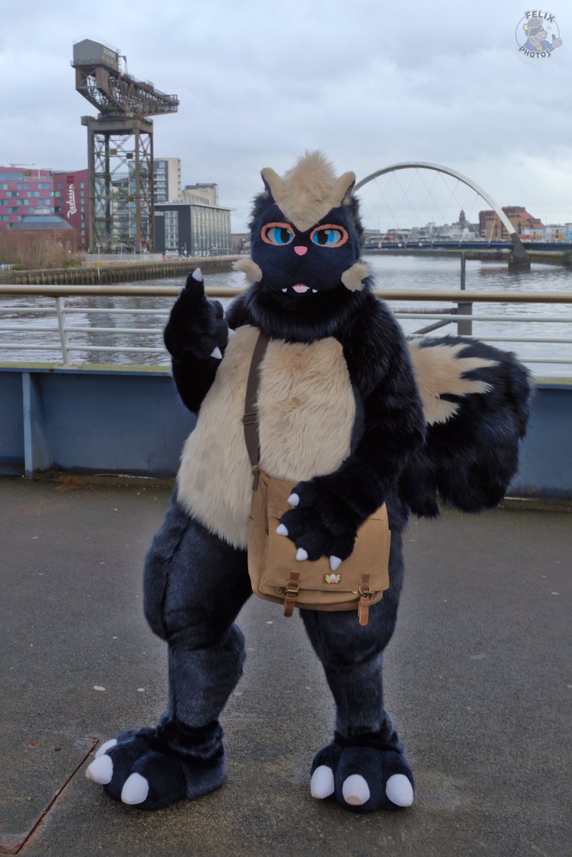 Brony20Metal's tweet photo. @fuchsfoxfox I suppose I am a little chonky https://t.co/7XeIbbuO3k