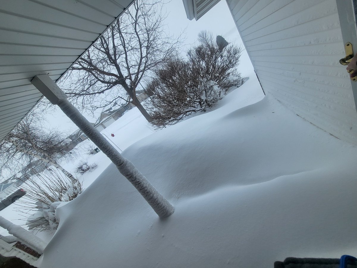 Tanya💙⚾️💛🏈💚☔️💜 tweet media