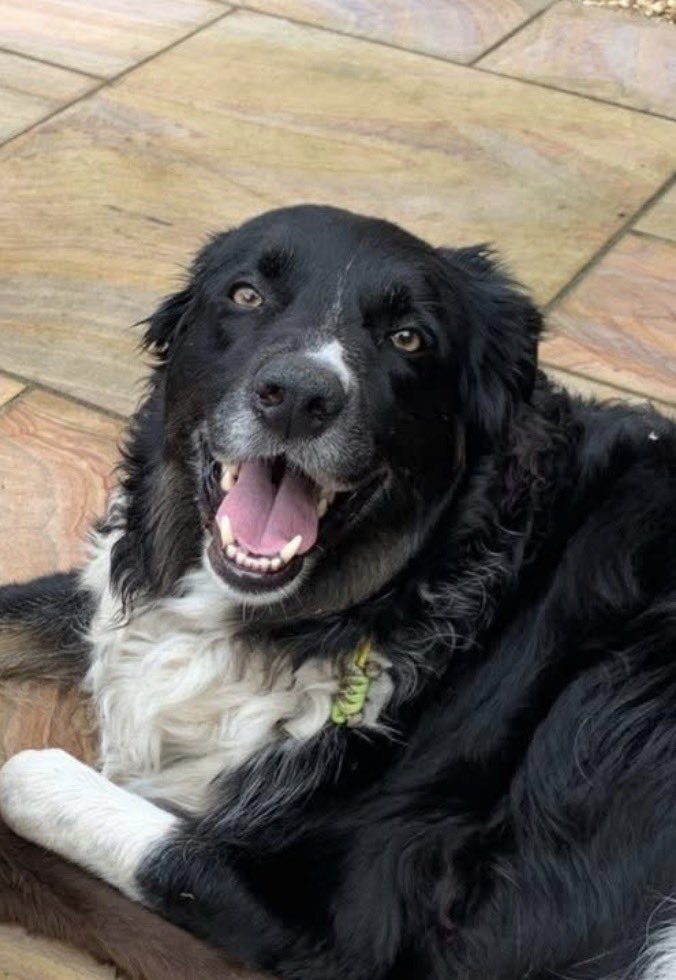 mark breary tweet media