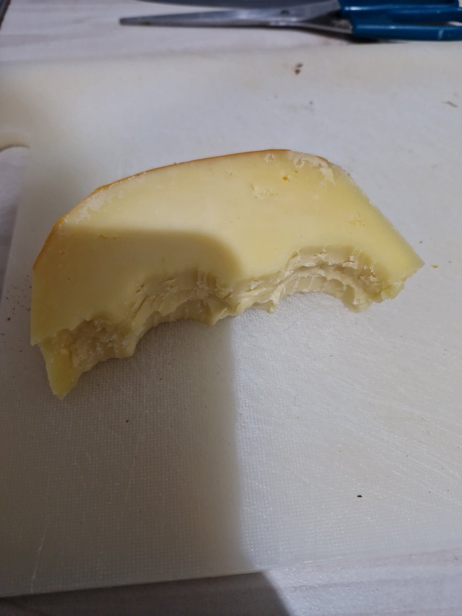 Frau Chaos ⚓ tweet media