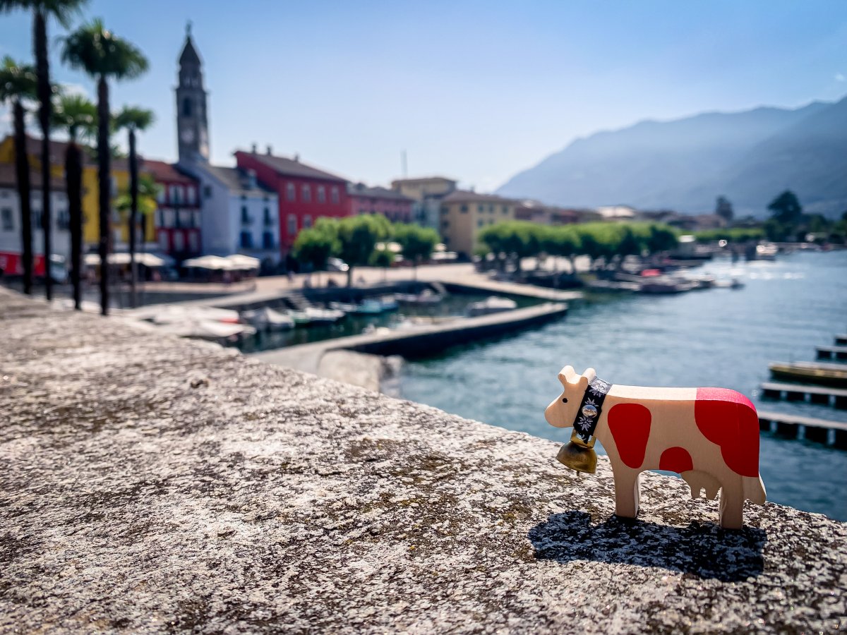 Happy Lilly tweet media