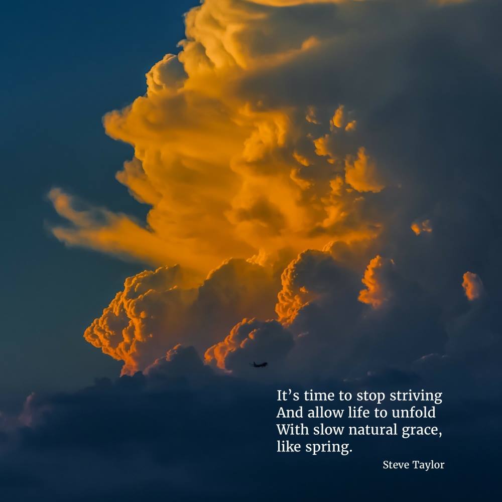 Steve Taylor tweet media