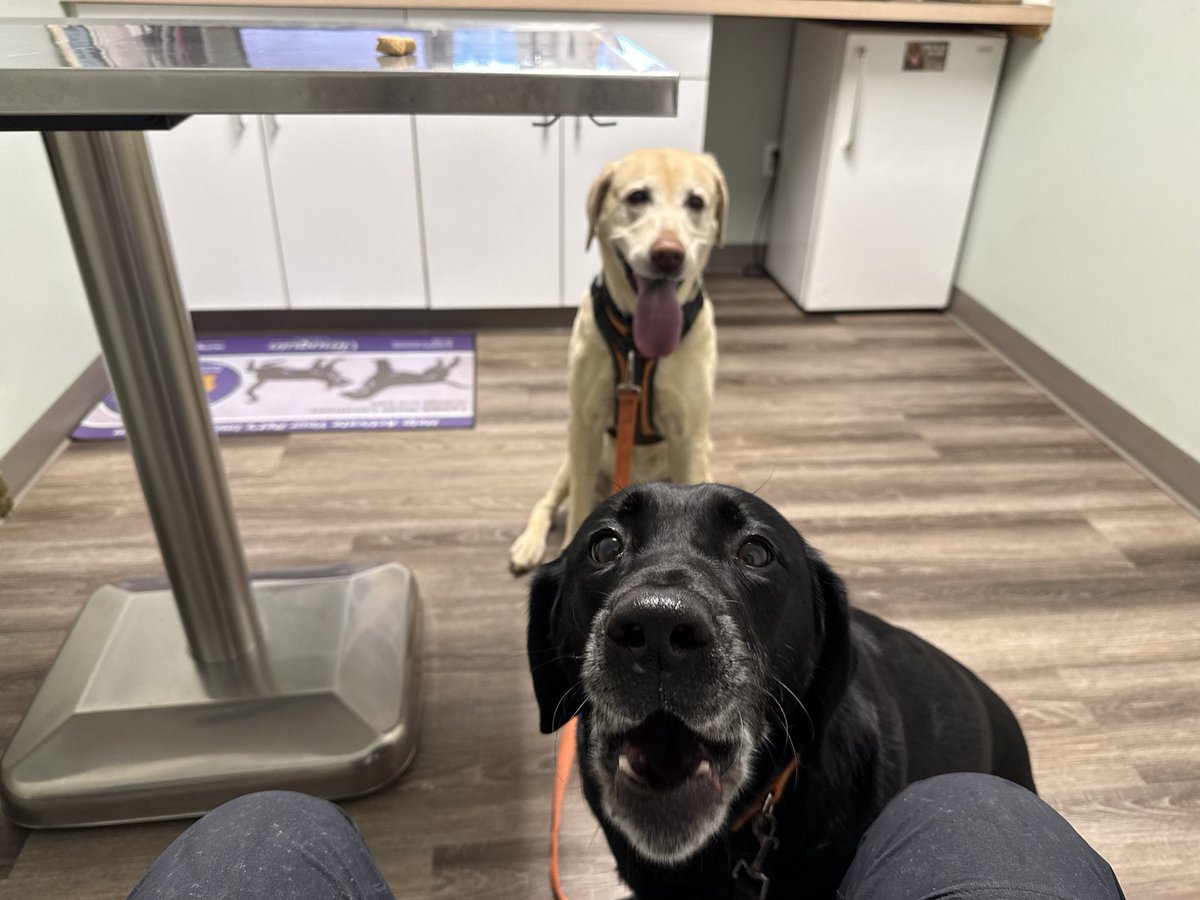 BenfieldSportscenter tweet media