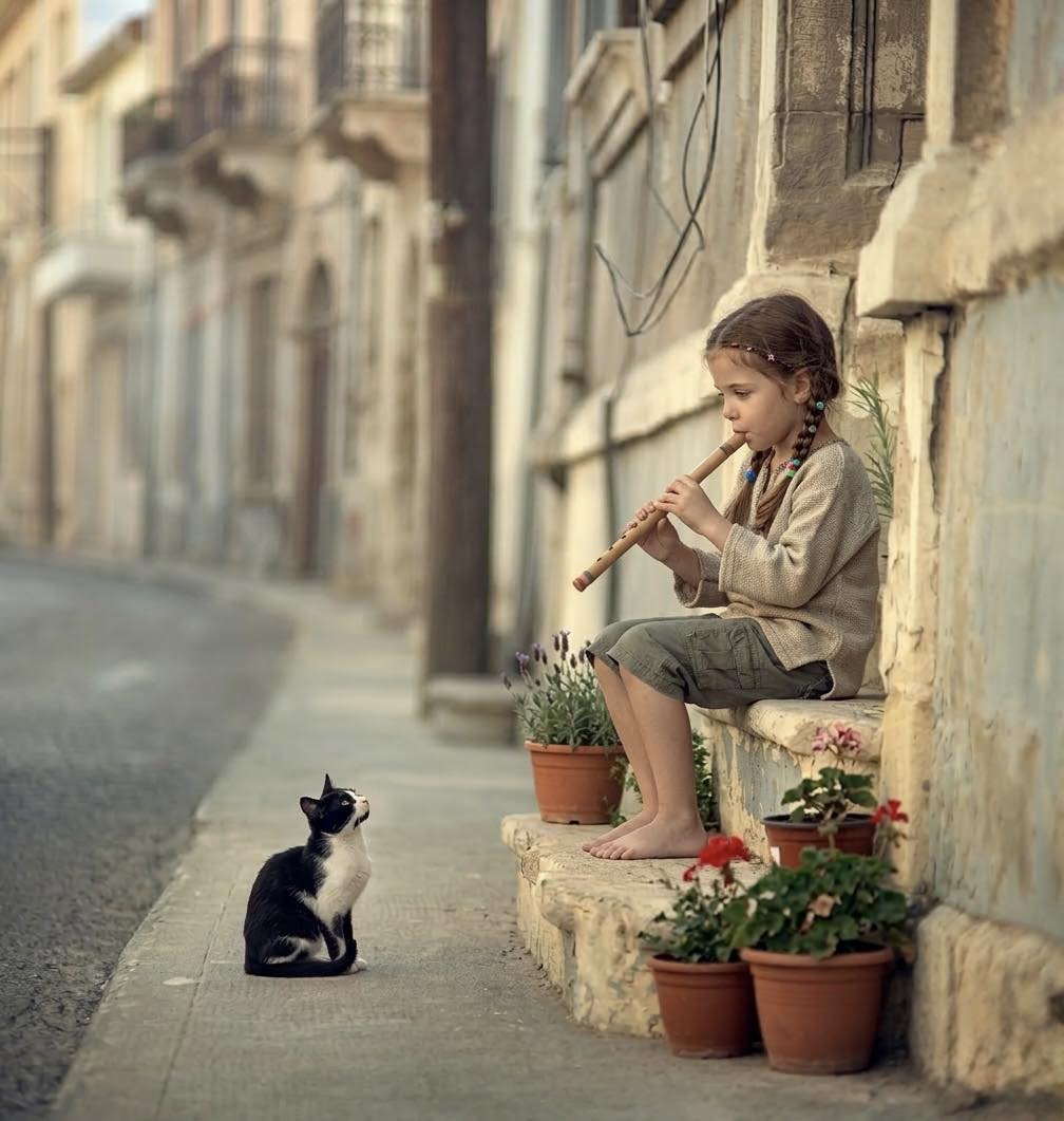 Flyhigher tweet media