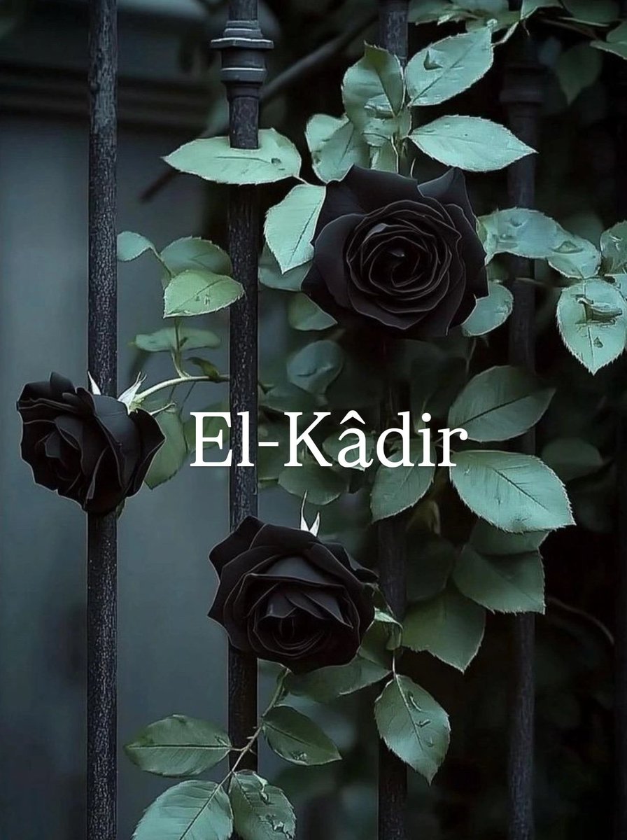 kesfsever's tweet photo. El-Kâdir*
"Sonsuz kudret sahibi, her istediğini dilediği gibi yapmaya gücü yeten" demek.

Çok değil azıcık, bir lahzacık, bir kudret elde edince şirazesi kayan, haddini aşan ve kendi kudretinin çapınca Râblik taslayan(!) her şeyin, herkesin ve hepimizin;
verdiği o kudreti bir lahzada geri alan gerçek, mutlak ve tek kudret sahibi Kadir'in kudretini idrak ettiği günün vesilesi olsun bu gece.
Kadir gecemiz mübarek olsun.