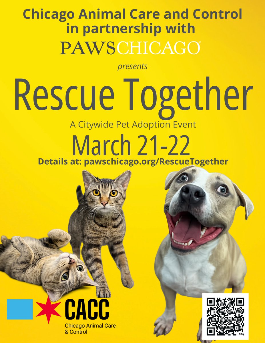 Chicago Animal Care and Control tweet media