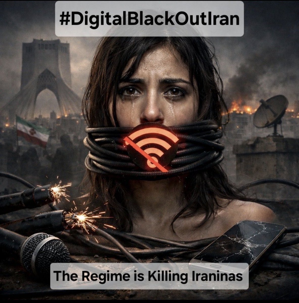 Seanswimme's tweet photo. @Nilufer5775 @razesharghi @elonmusk #DigitalBlackOutIran‌ @elonmusk https://t.co/nUdsniDeZT