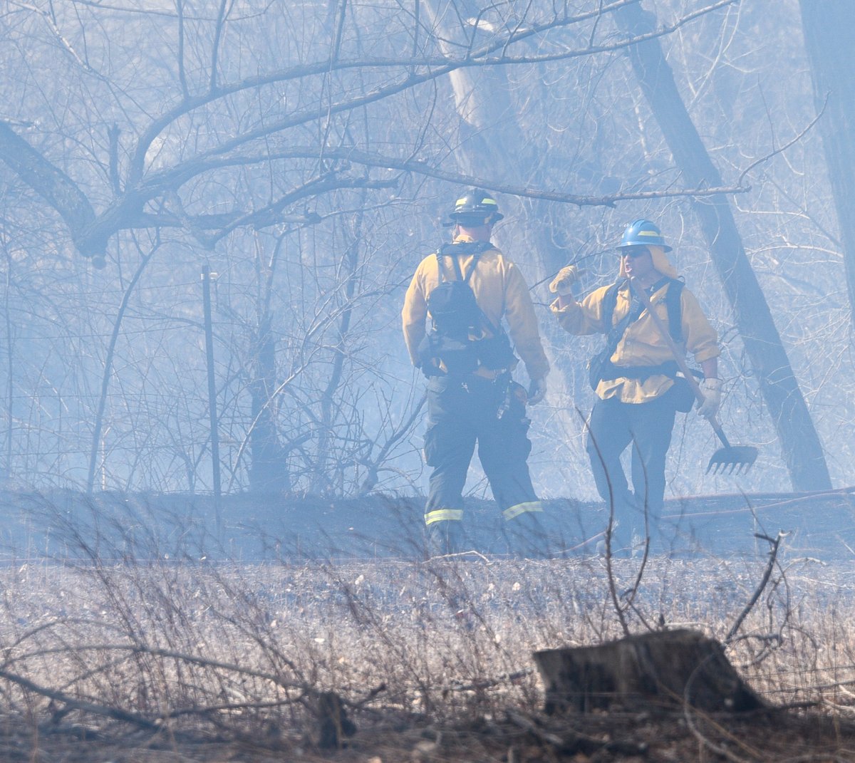 poudrefire tweet media