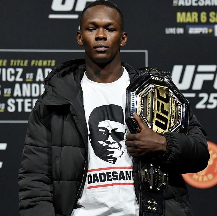 The Fight Fanatic tweet media