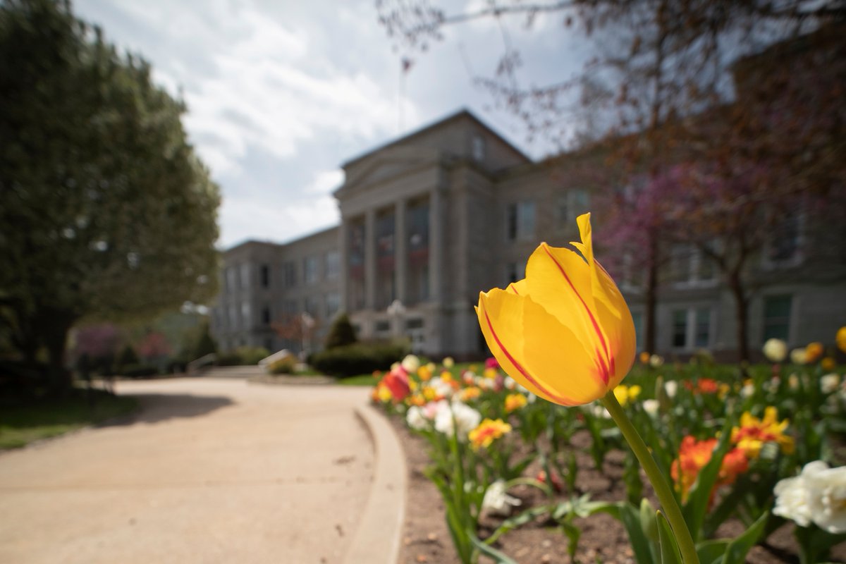 Missouri State Fdn tweet media