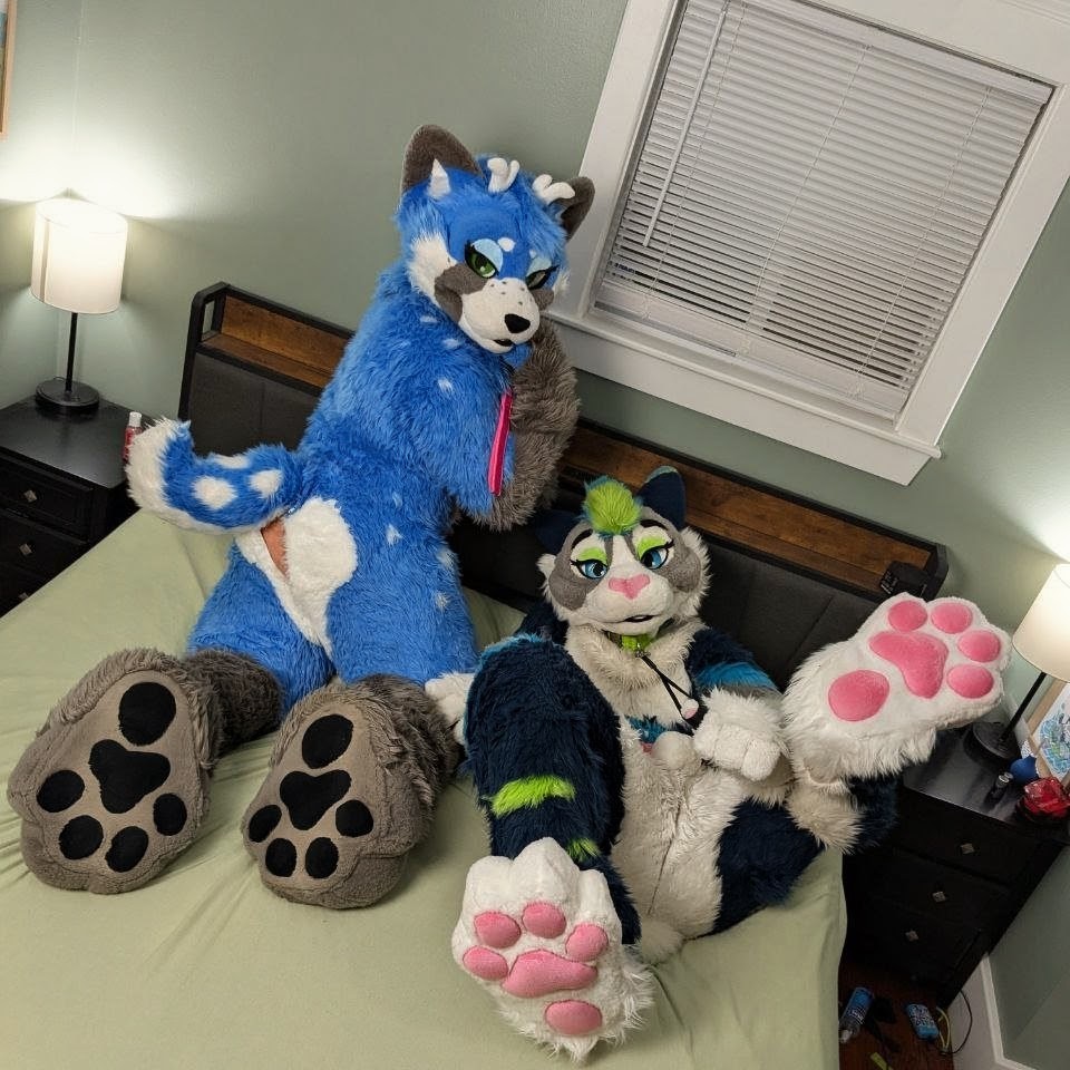 Luka Cabbit @ FWA (after bedtime) tweet media