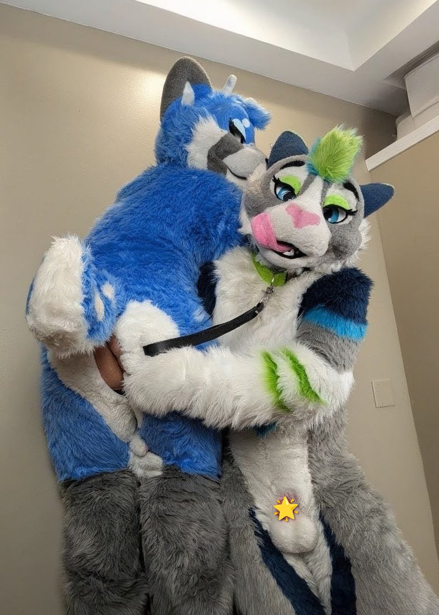 Luka Cabbit @ FWA (after bedtime) tweet media