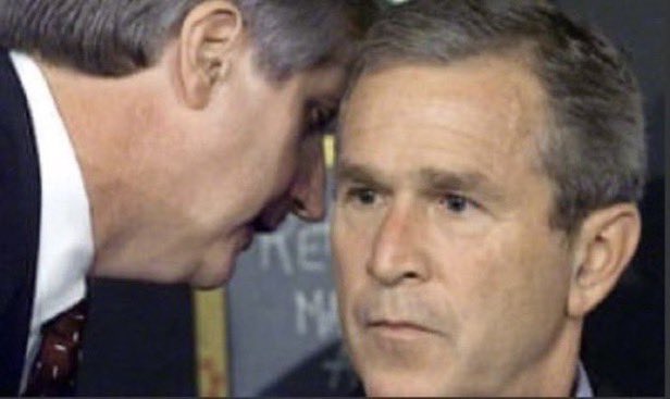 Fiona Small tweet media