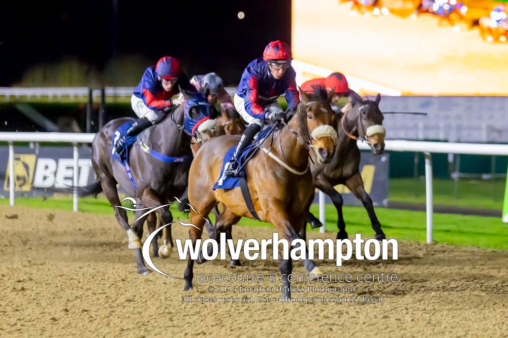 Wolverhampton Races tweet media
