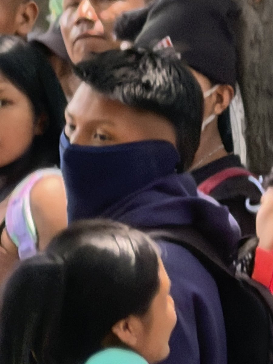 David Toledo tweet media