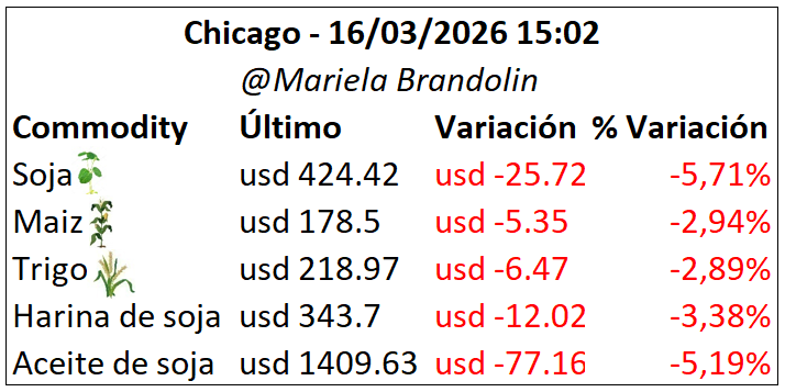 Mariela Brandolin tweet media