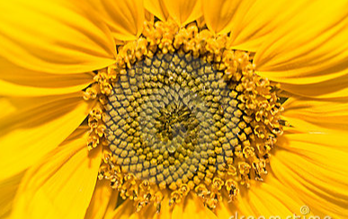 Nichel Anderson, MBA tweet media