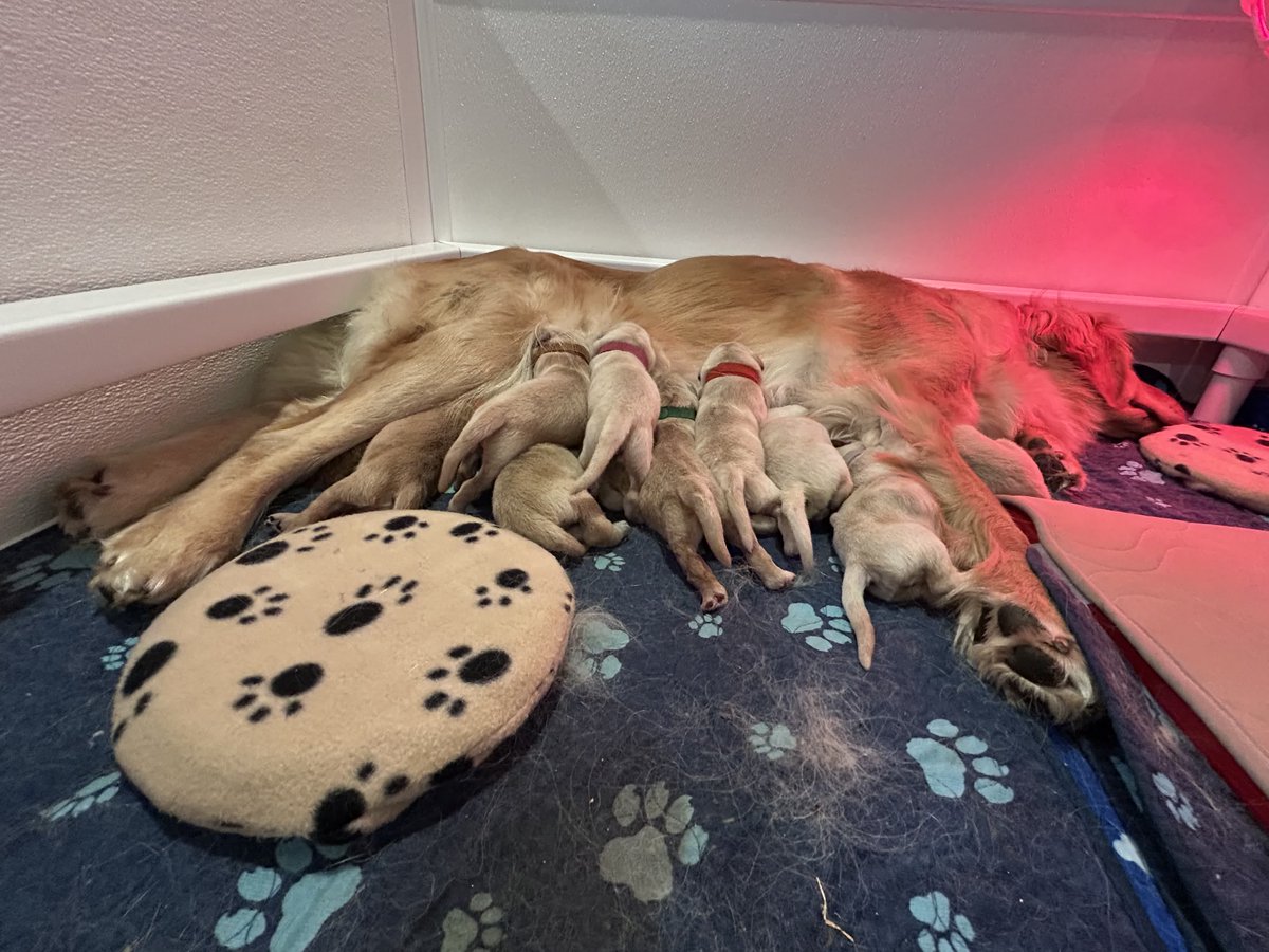 SFM Companies tweet media