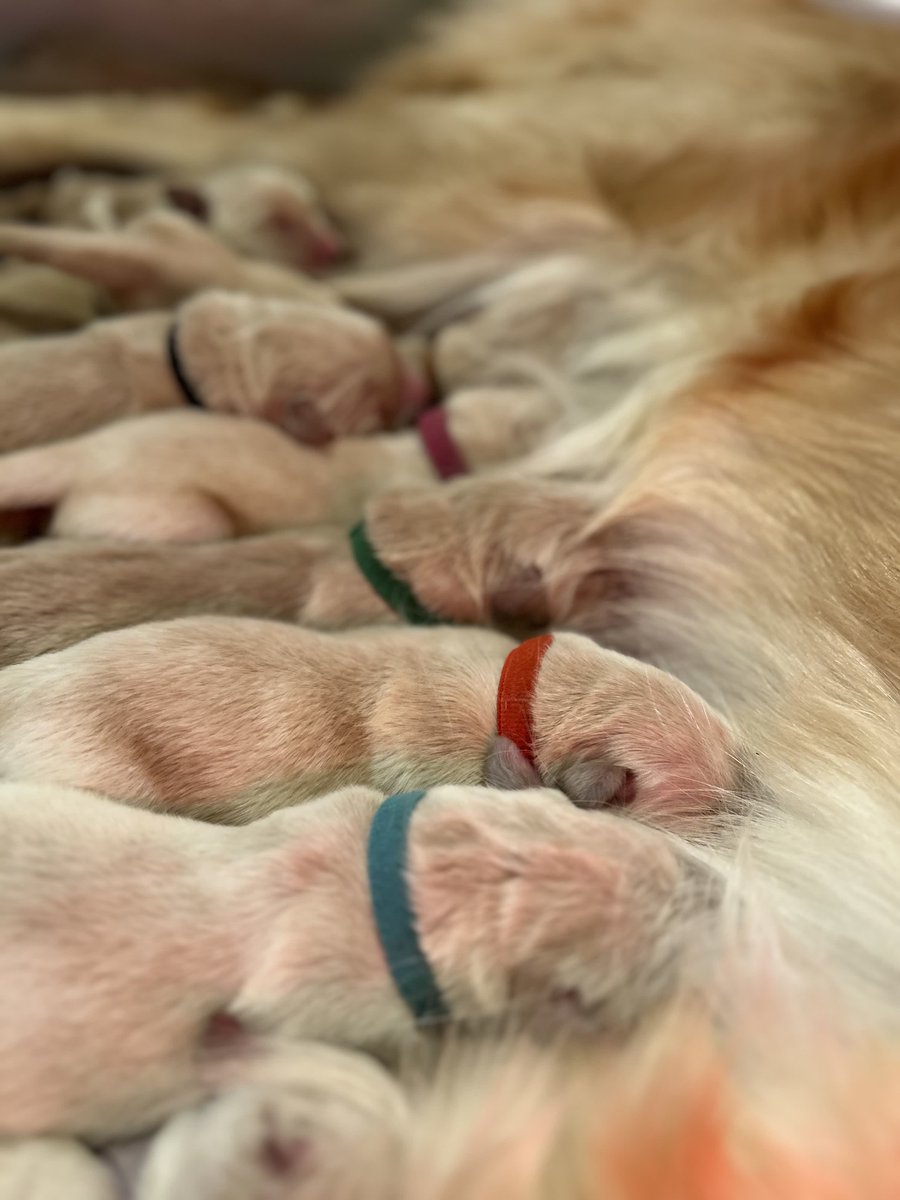 SFM Companies tweet media