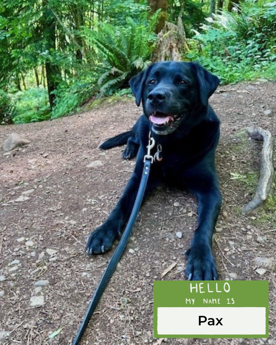 VICA | Vancouver Island Construction Association tweet media