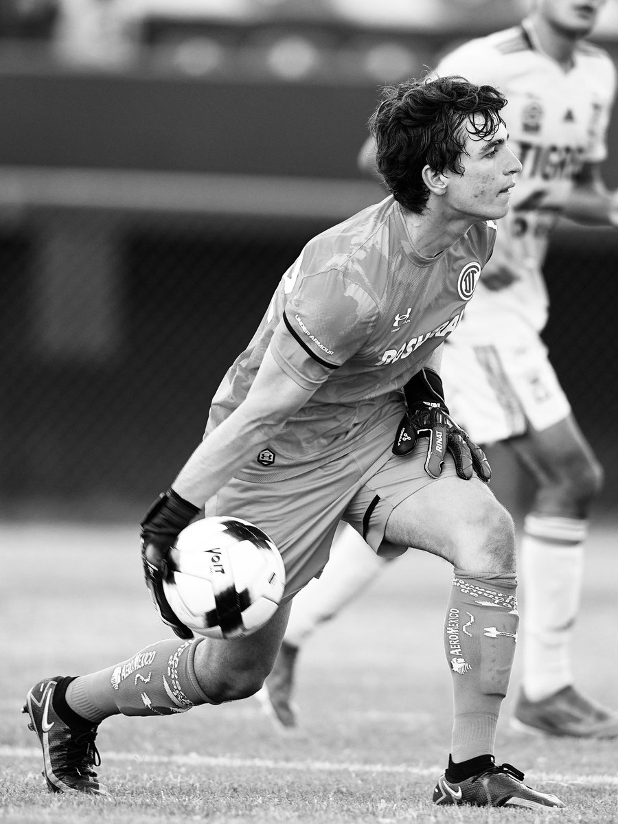 Sector Básicas tweet media