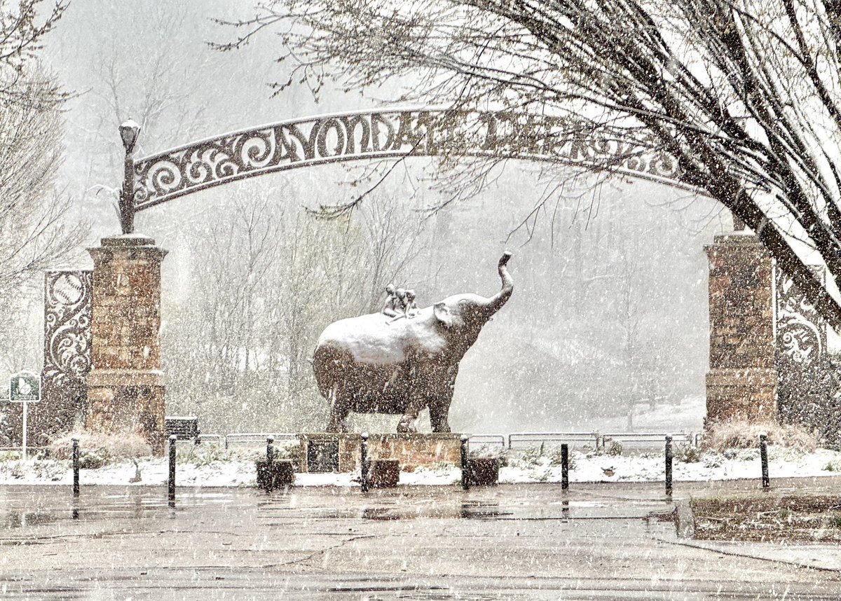 Rachel Callahan tweet media