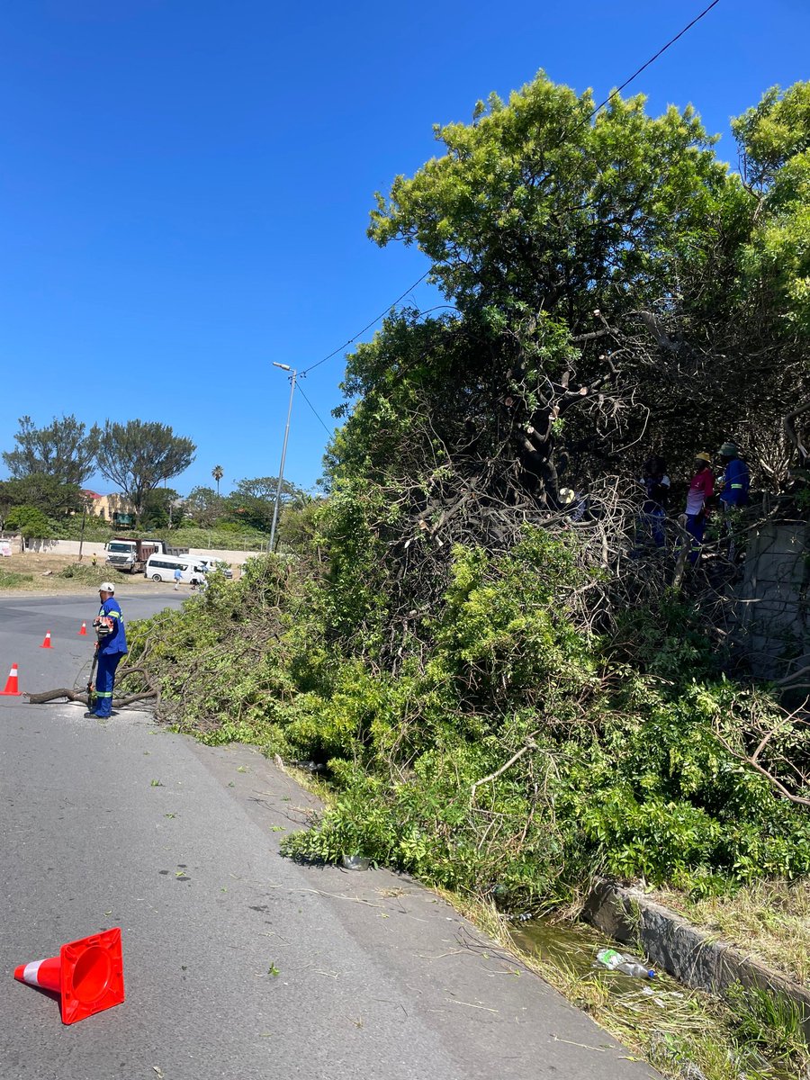 Buffalo City Metro Municipality tweet media