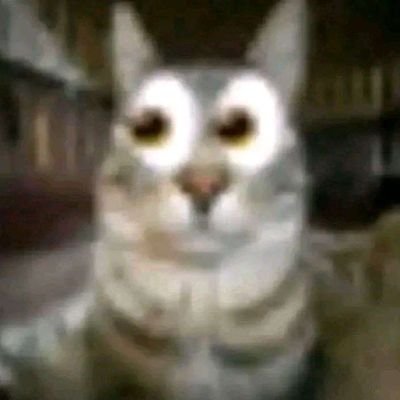 S:AM 🍩🔞 tweet media