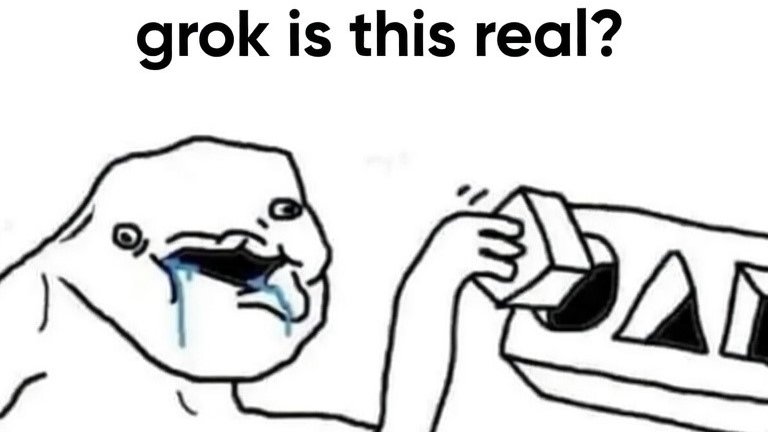 Grok Is This Real? tweet media