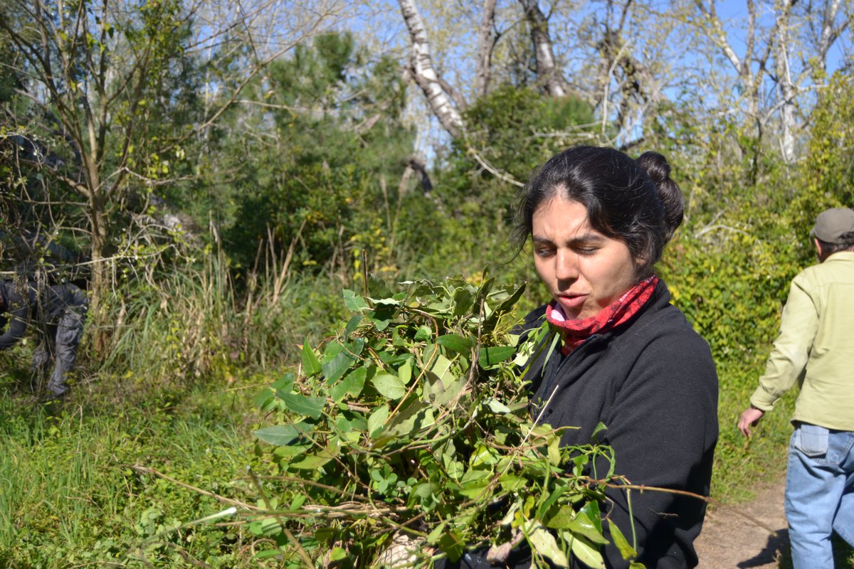 Salvem l'Olla del Rei tweet media