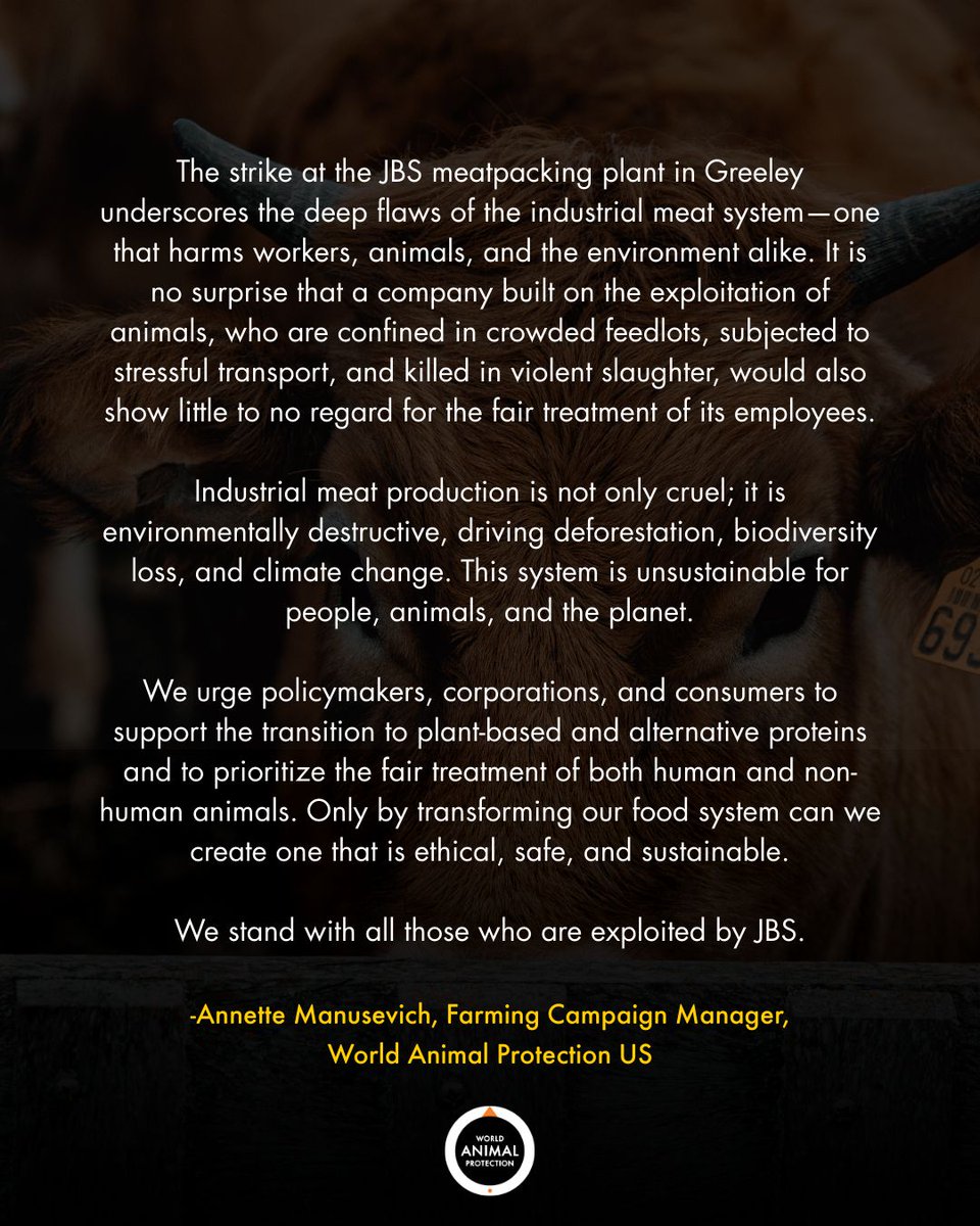 World Animal Protection US tweet media