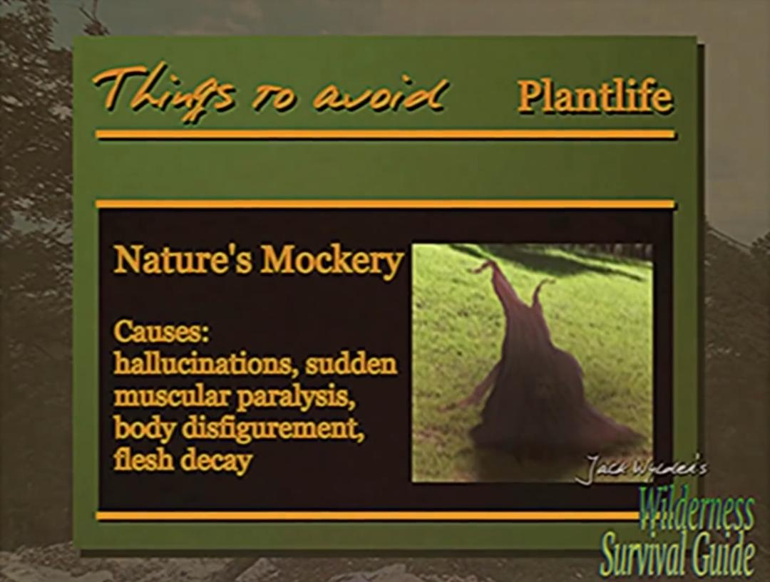 I exist to be honest. tweet media