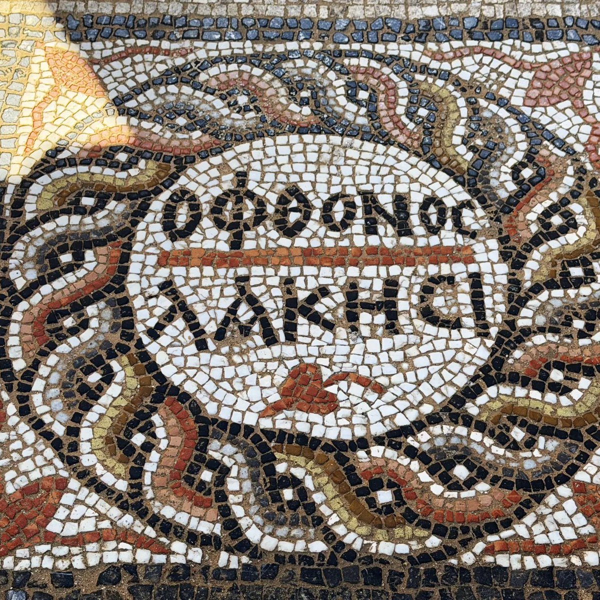 Basileos tweet media