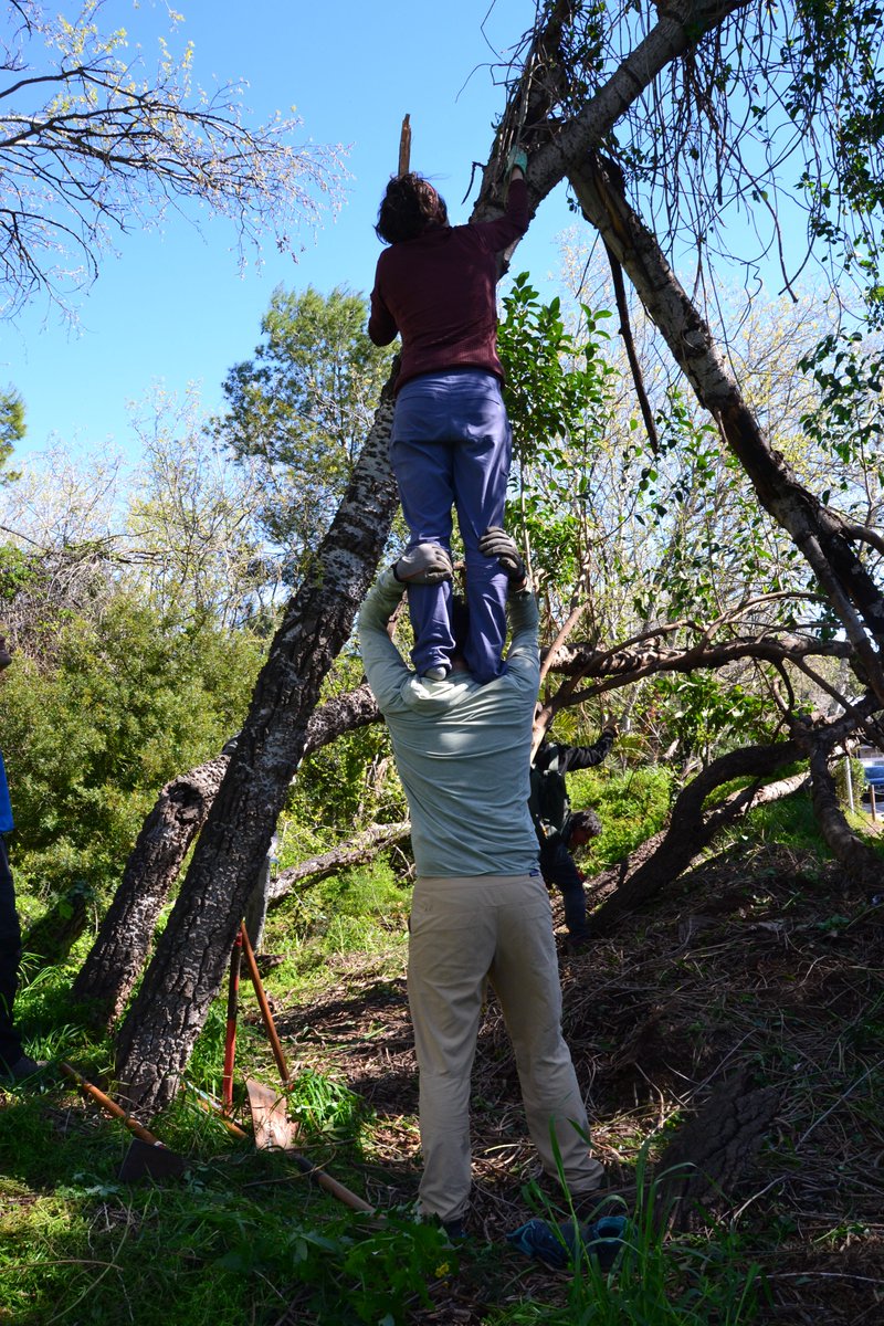 Salvem l'Olla del Rei tweet media
