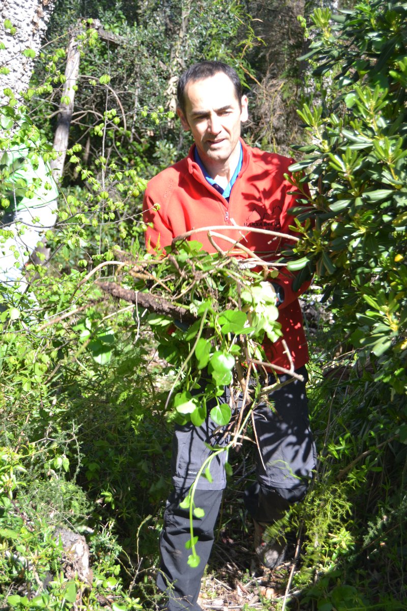 Salvem l'Olla del Rei tweet media