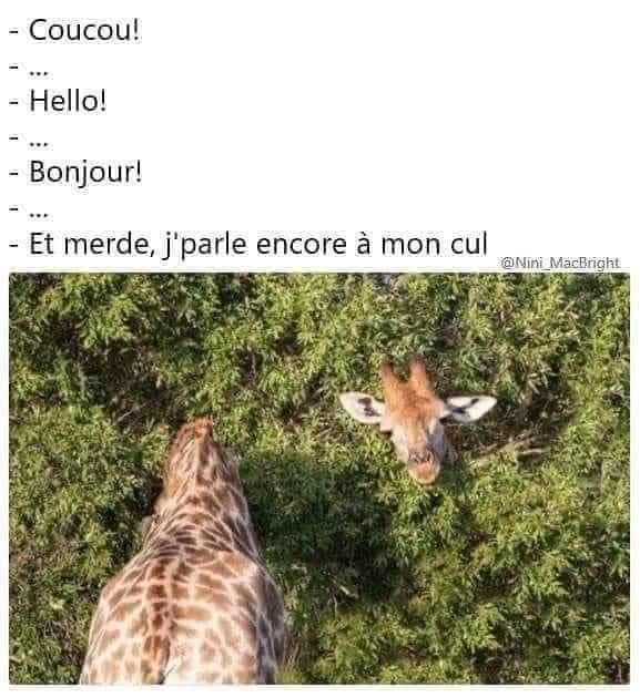 Rémi PARTAMIAN tweet media