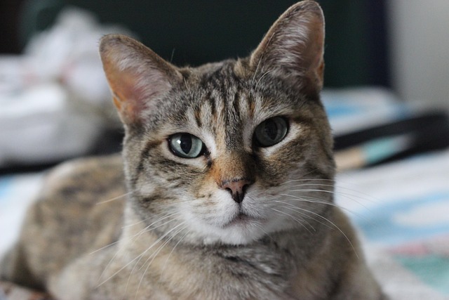 Amanda Gonzales tweet media