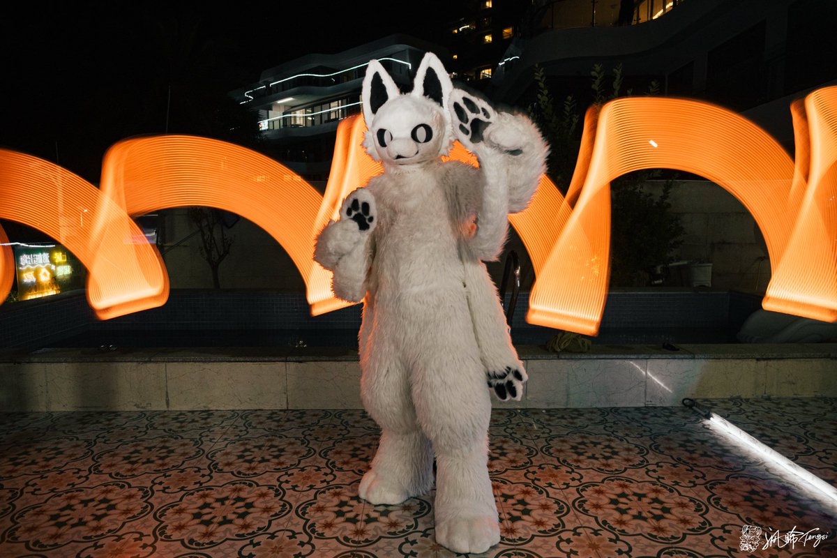 半岛柿子喵 tweet media