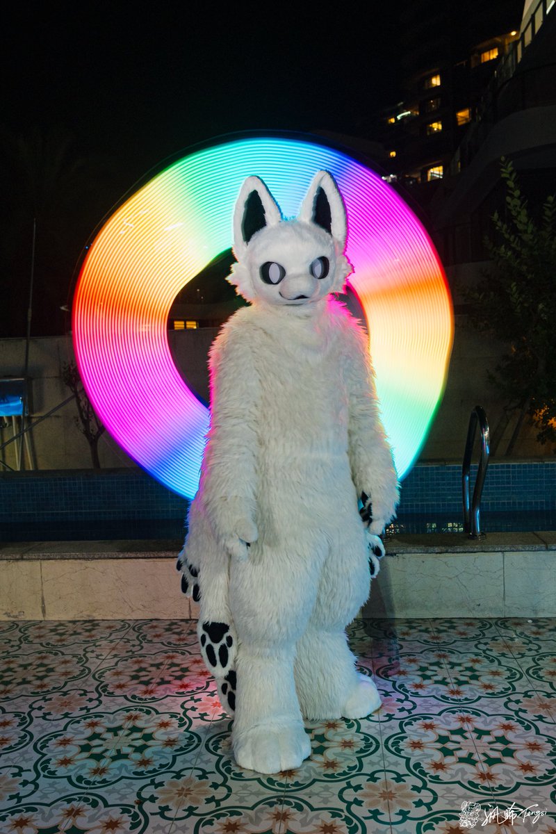 半岛柿子喵 tweet media