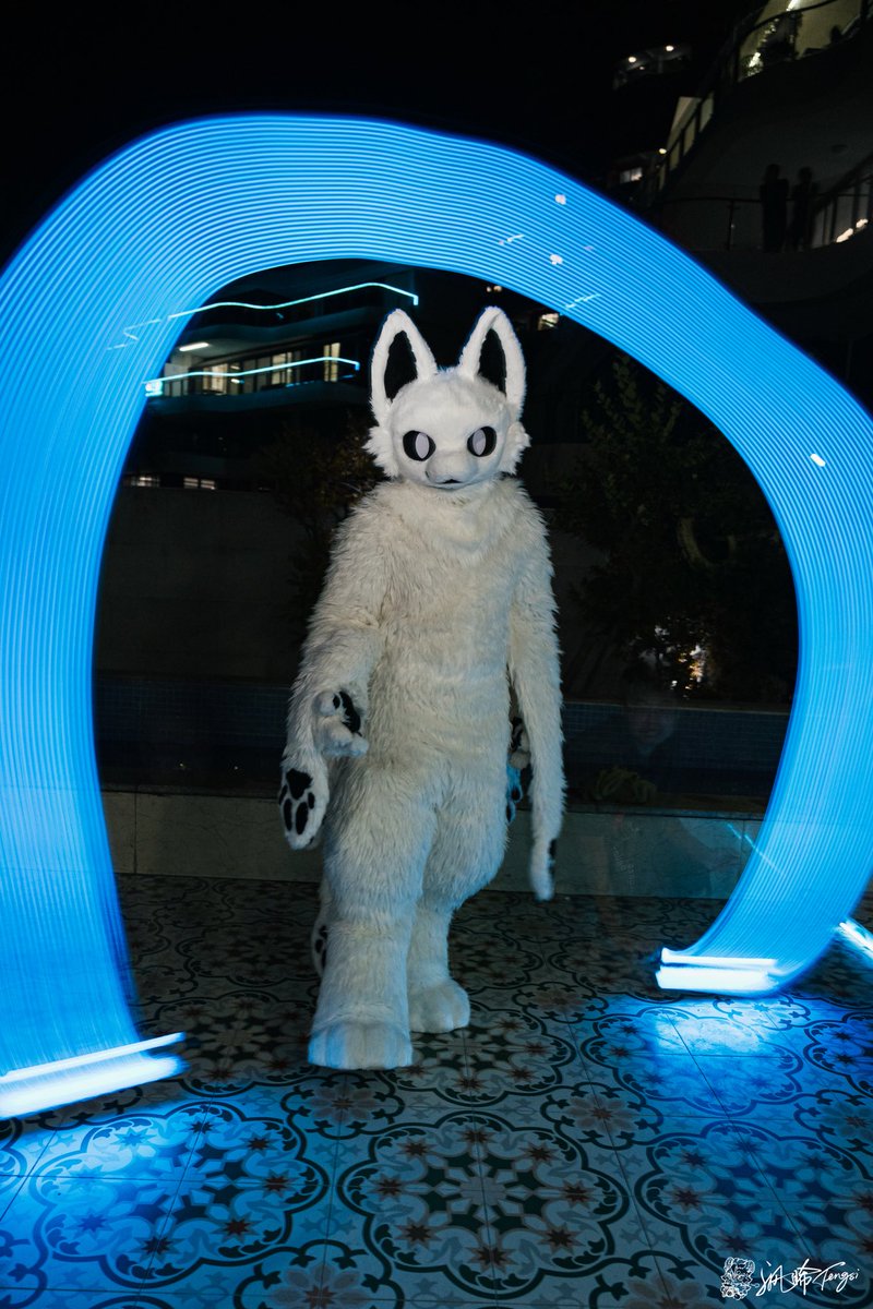 半岛柿子喵 tweet media