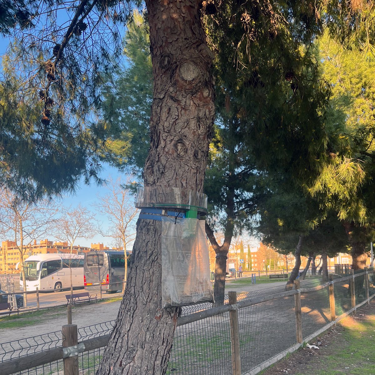 ColoniaMarconi tweet media