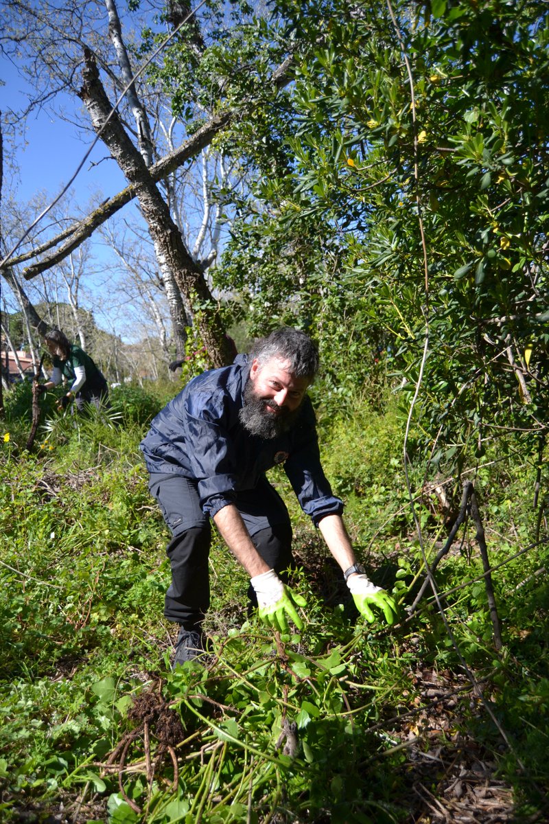 Salvem l'Olla del Rei tweet media