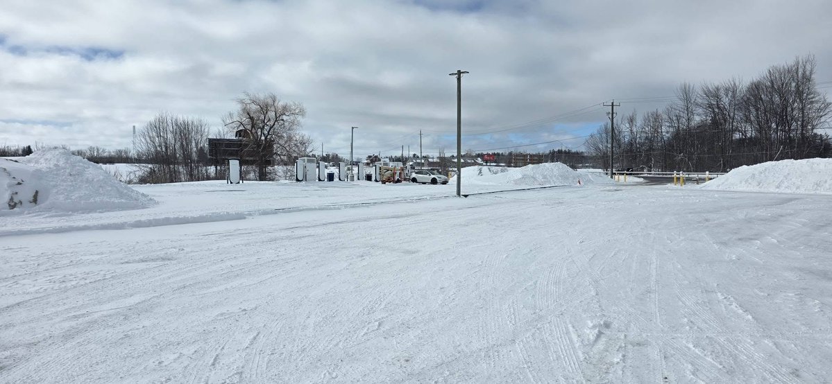 Drive Tesla 🇨🇦 tweet media