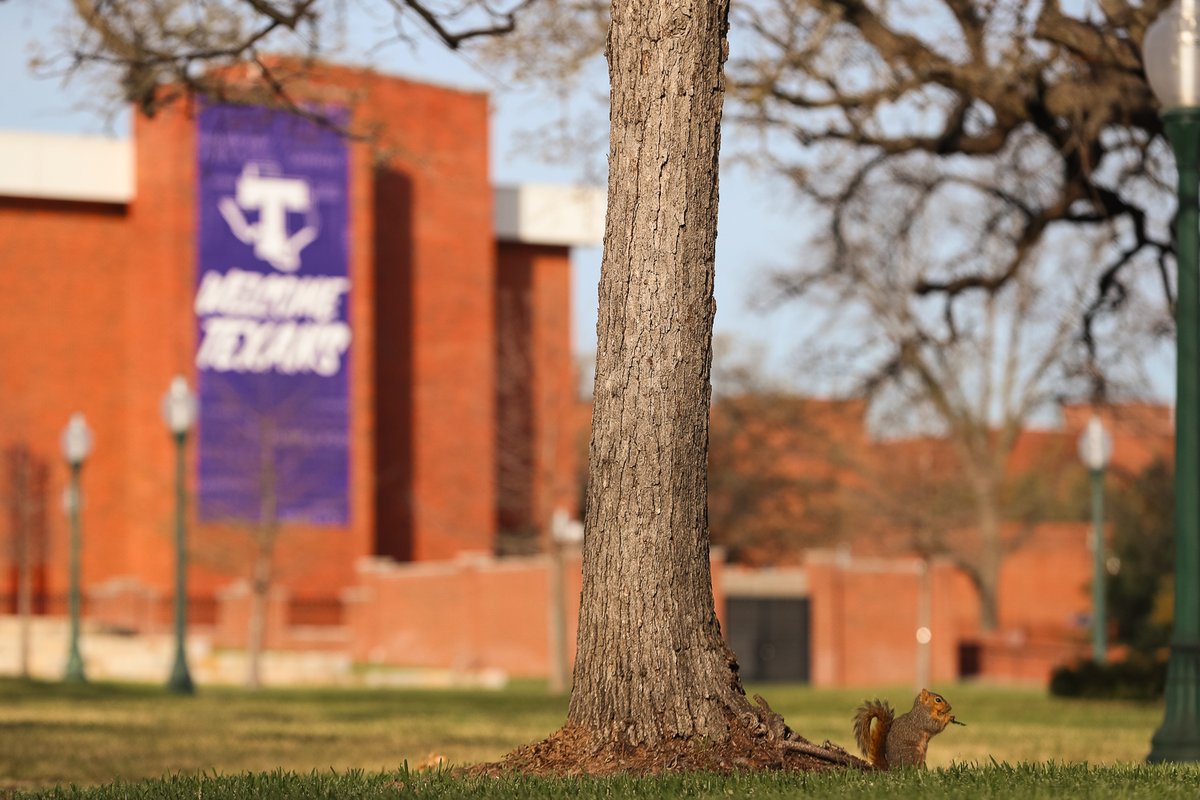 Tarleton State University tweet media