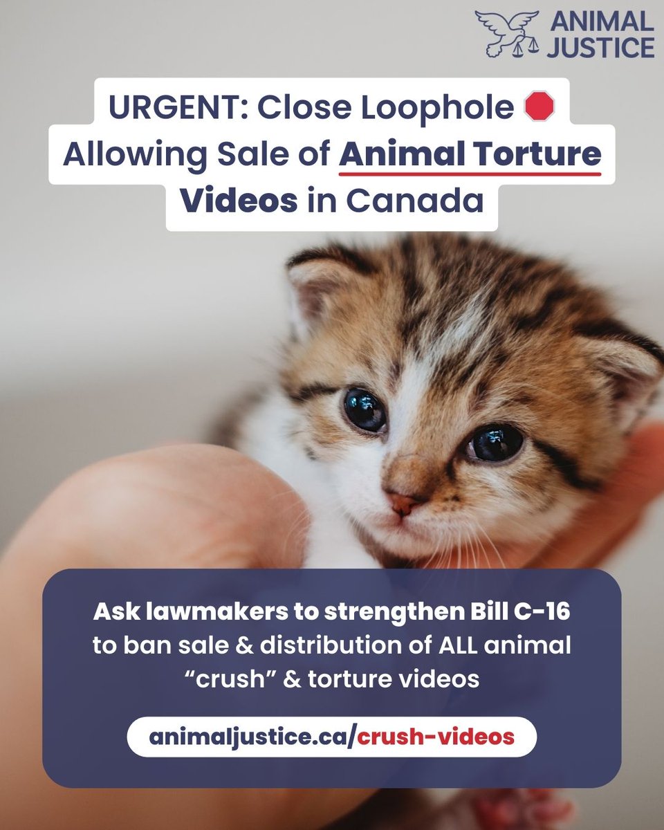 Animal Justice tweet media