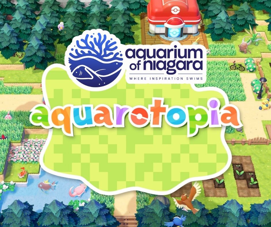 Aquarium of Niagara tweet media