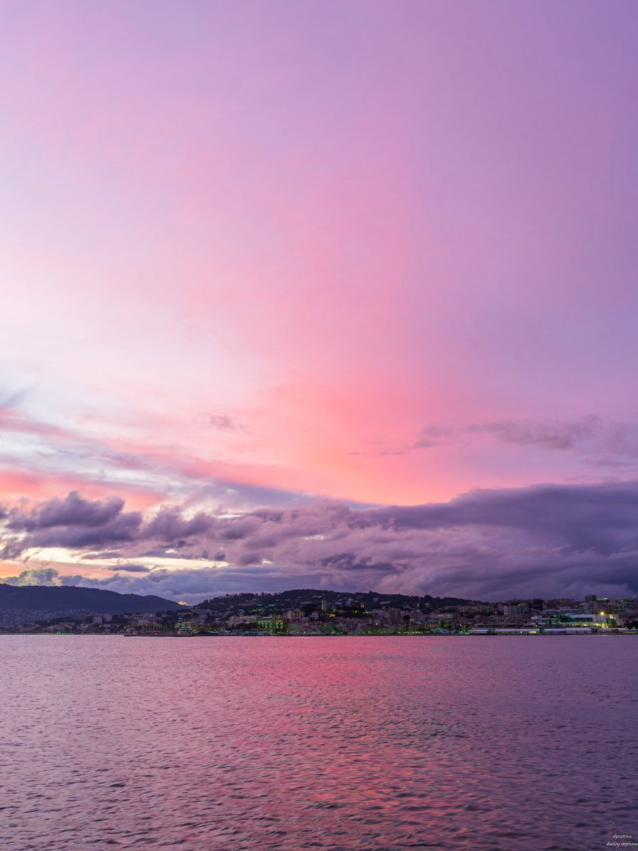 𝕤𝕝𝕡𝕔𝕒𝕟𝕟𝕖𝕤 tweet media